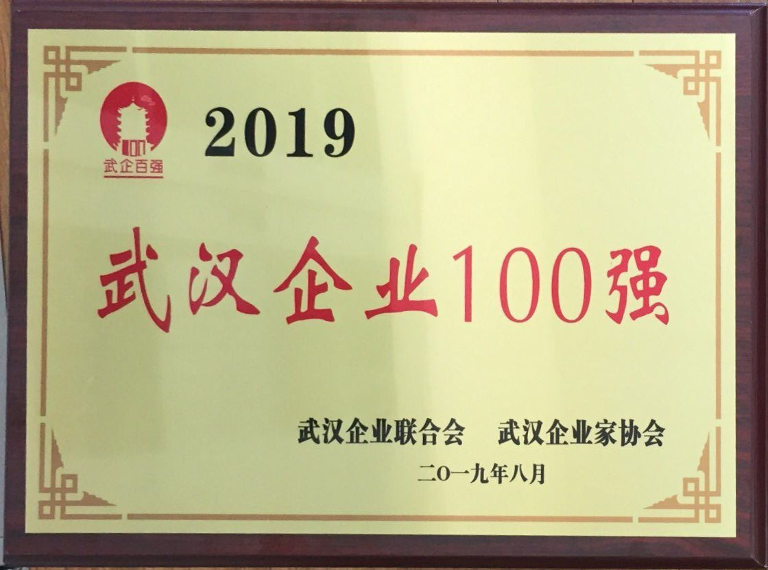 2019年武漢企業(yè)100強(qiáng).jpg